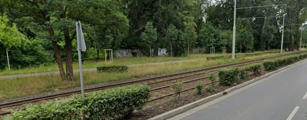 1.72 Doświadczalne zazielenienie torowiska tramwajowego przy ulicy Grabiszyńskiej we Wrocławiu